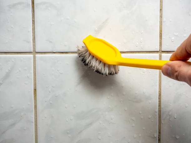 Best Office Mold Removal Services  in Kalamazoo, MI