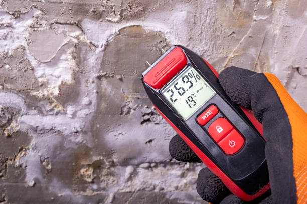 Best Mold Removal Company Near Me  in Kalamazoo, MI