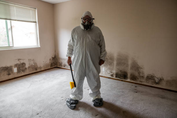Best Attic Mold Removal  in Kalamazoo, MI